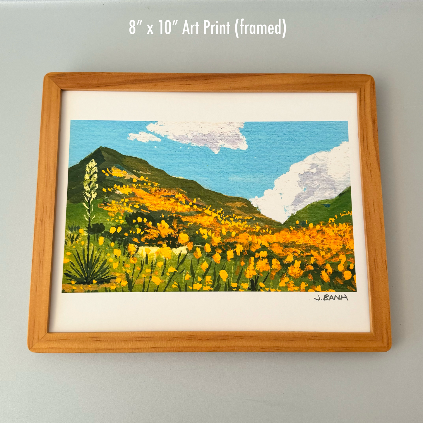 California Poppies - ART PRINT - Beautiful golden flowers in CA