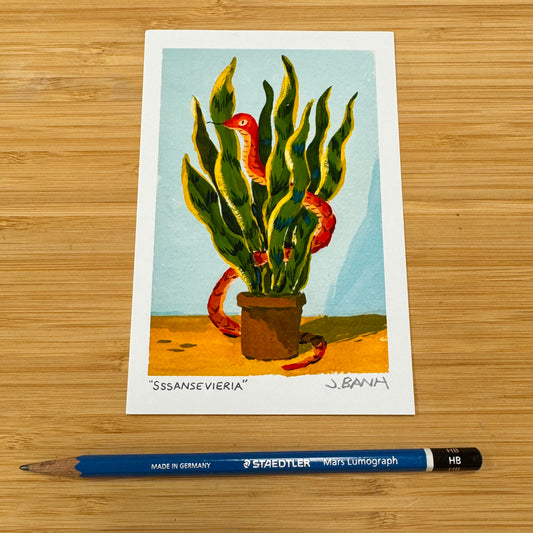 Sssansevieria - ART PRINT - PLANTS - Snake Plant - Sansevieria