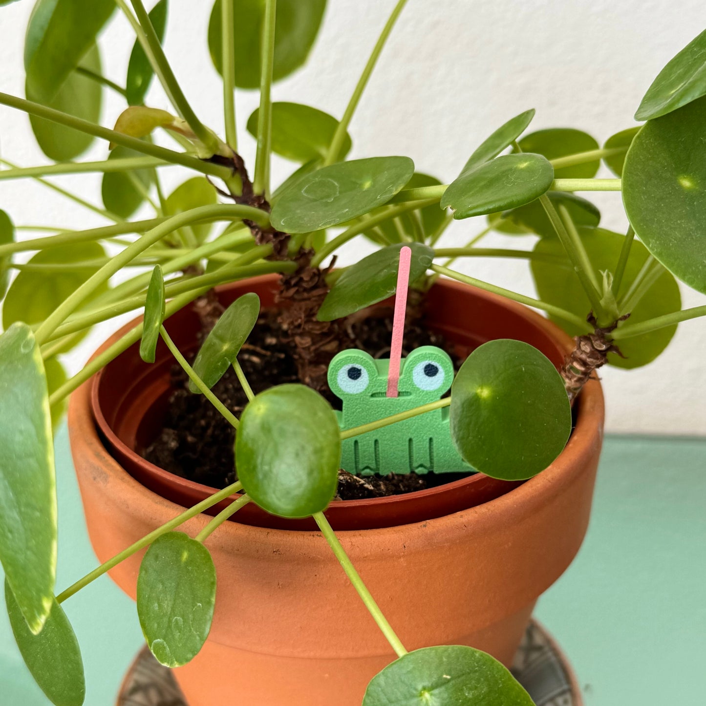 Franklin the Frog Figure - Designer Toy by doodle dose