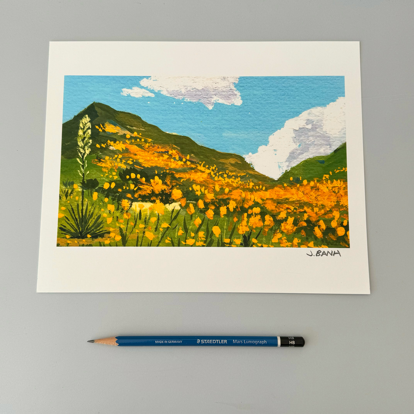 California Poppies - ART PRINT - Beautiful golden flowers in CA